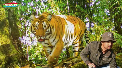 Kẻ Chuyên Trị Chúa Sơn Lâm - Cuộc Săn Lùng Cỗ Máy Giết Người Hoàn Hảo