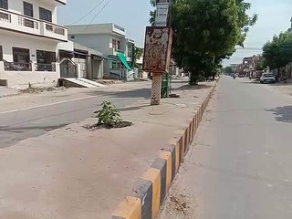 सहायक लेखाधिकारी ने पकड़े आठ फर्जी मस्टरोल