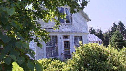 Pointe Duthie : une nouvelle vision qui ravive la flamme