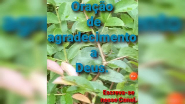 Oração de agradecimento a Deus. O Senhor Jesus Cristo garante a Vitória.