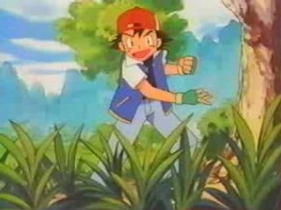 Sacha,futur maître Pokémon!