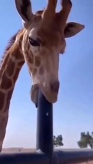 Most funny clips 2023 Watch till end