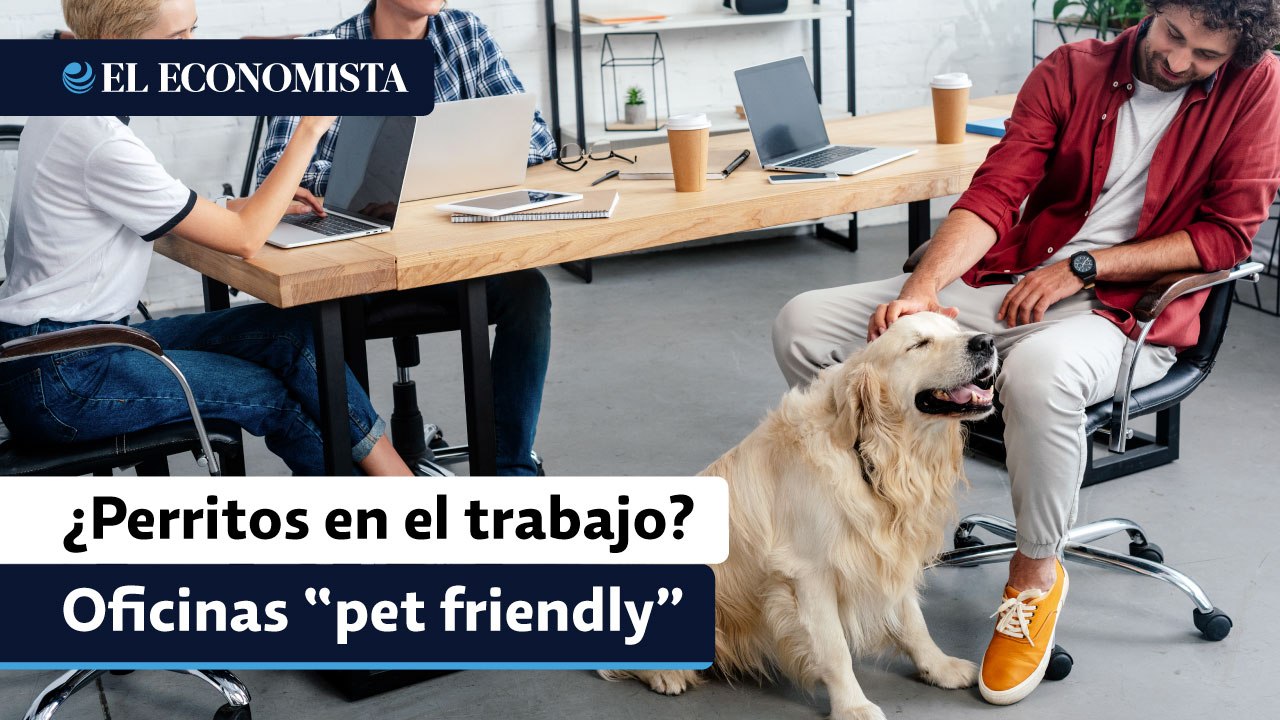 ¿Perritos en la oficina? Así son los espacios donde conviven colaboradores y “lomitos”