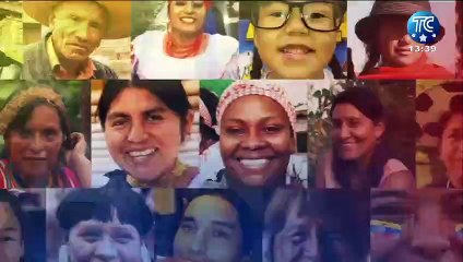 Criadero de grillos comestibles en Quito