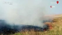 Edirne’de tarlada yangın! 100 arı kovanı kül oldu
