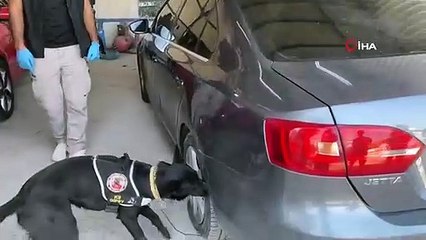Narkotik köpeği tepki verdi, çantadan 6 buçuk kilo uyuşturucu çıktı