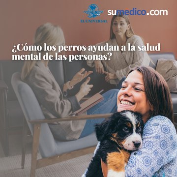 ¿Cómo los perros ayudan a la salud mental de las personas?
