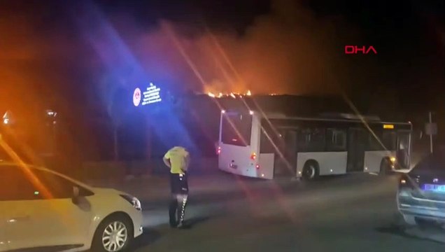 Feu de forêt à Çeşme
