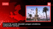 Çeşme'de çamlık alandaki yangını söndürme çalışmaları sürüyor
