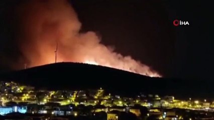 Çeşme'de çamlık alanda yangın