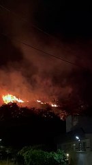 Incêndio em parque municipal no Bairro Palmares mobiliza bombeiros