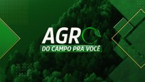 AMOR E TRABALHO: A LIDA COM CAVALOS NA AGROPECUÁRIA | AGRO: DO CAMPO PRA VOCÊ - 23/07/2023