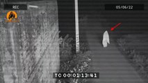 cctv footage horror moment | ghost caught on cctv camera | real ghost |