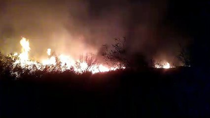 vid-20230721-wa0098.mp4