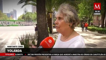 Vecinos de la Glorieta del ahuehuete consideran que el segundo ejemplar se está secando
