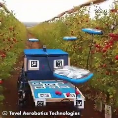 The drone harvest has begun #shorts #viral #shortsvideo #video #innovationhub
