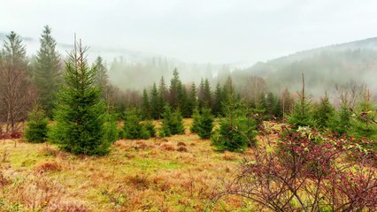 Ukraine In 4K - Country Of Beautiful Natural Wonders