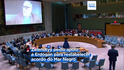 Zelenskyy procura apoio para reativar corredor no Mar Negro