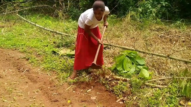 Garden Ki Ghaas Ko Aaj Mene Saaf Kiya Daily Vlog