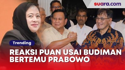 Politisi PDIP Budiman Sudjatmiko Temui Prabowo, Ini Reaksi Puan