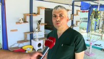 Méthode de refroidissement pour chiens dans un refuge à Adana