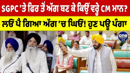 SGPC 'ਤੇ ਫਿਰ ਤੋਂ ਅੱਗ ਬਣ ਕੇ ਕਿਉਂ ਵਰ੍ਹੇ CM ਮਾਨ? ਲਓ ਪੈ ਗਿਆ ਅੱਗ 'ਚ ਘਿਓ! ਹੁਣ ਪਊ ਪੰਗਾ |OneIndia Punjabi