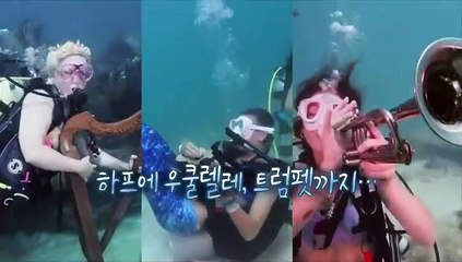 [지구촌톡톡] 플로리다 바다에 나타난 인어 음악대