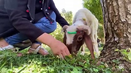 Mestan, depremzede ailenin yeni üyesi oldu