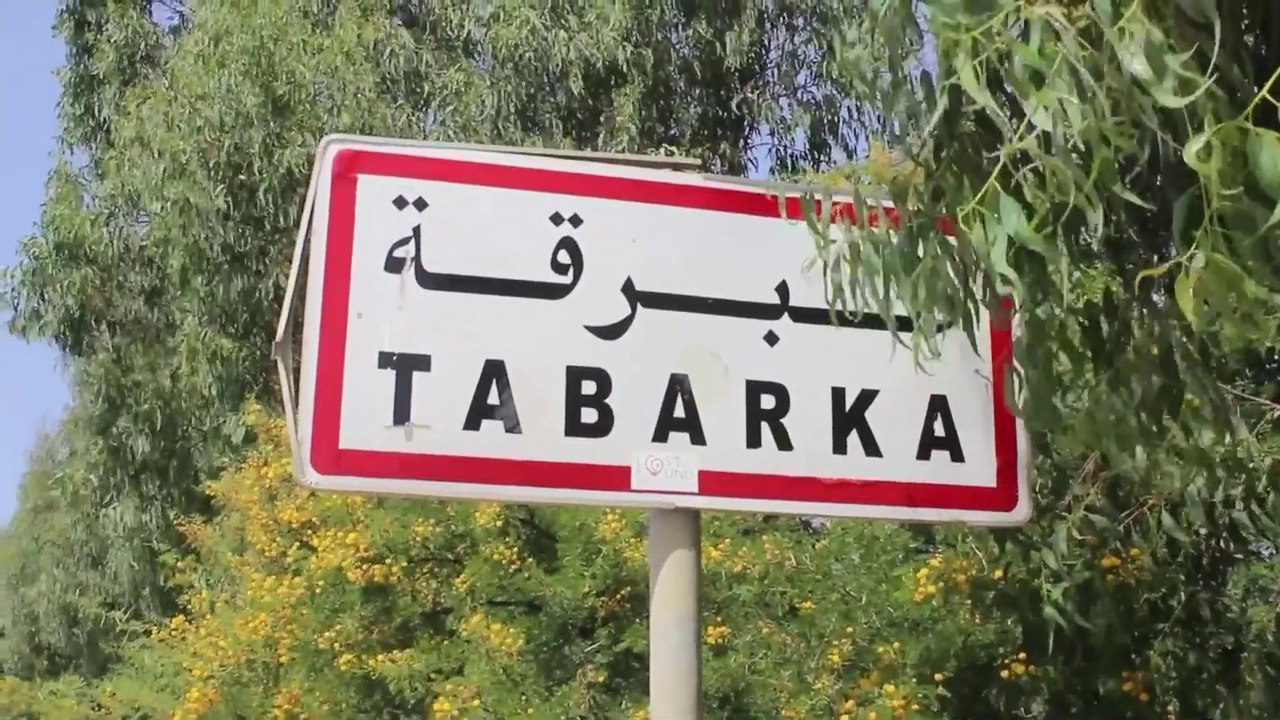 #تونس.. تواصل عمليات الإطفاء بعد اندلاع حريق بمنطقة ملولة في مدينة #طبرقة.. ومواطنون يروون معاناتهم  #العربية