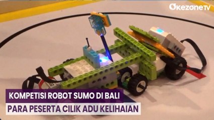 Kompetisi Robot Sumo di Bali, Para Peserta Cilik Adu Kelihaian