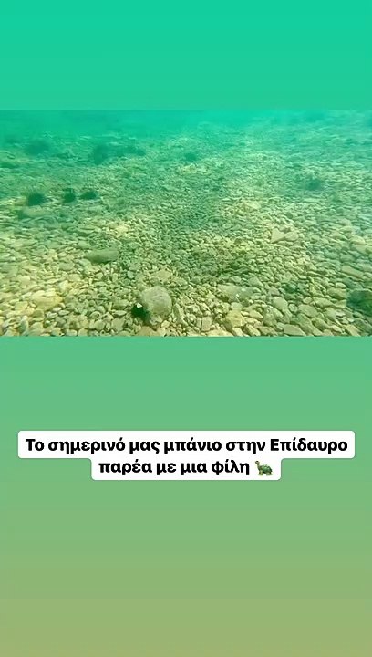 Αντελίνα Βαρθακούρη: Κολυμπάει στο βυθό παρέα με μια θαλάσσια χελώνα και το βίντεο είναι μαγικό!