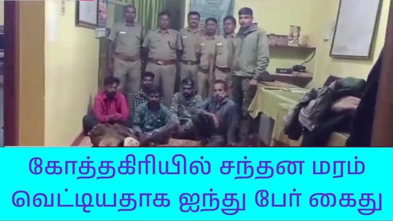 சந்தன மரங்கள் வெட்டி கடத்தல் - 5 பேர் கைது!