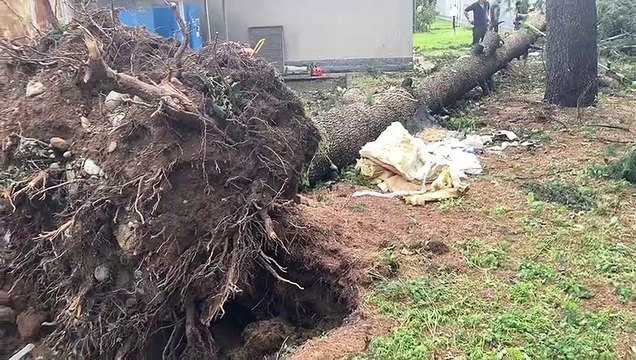 Nubifragio in Martesana, il giorno dopo ? il momento della conta dei danni