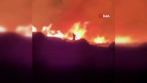 C'est comme un film d'horreur ! Il brûlerait vif dans la forêt qu'il a incendiée, il a été surpris en train de s'échapper