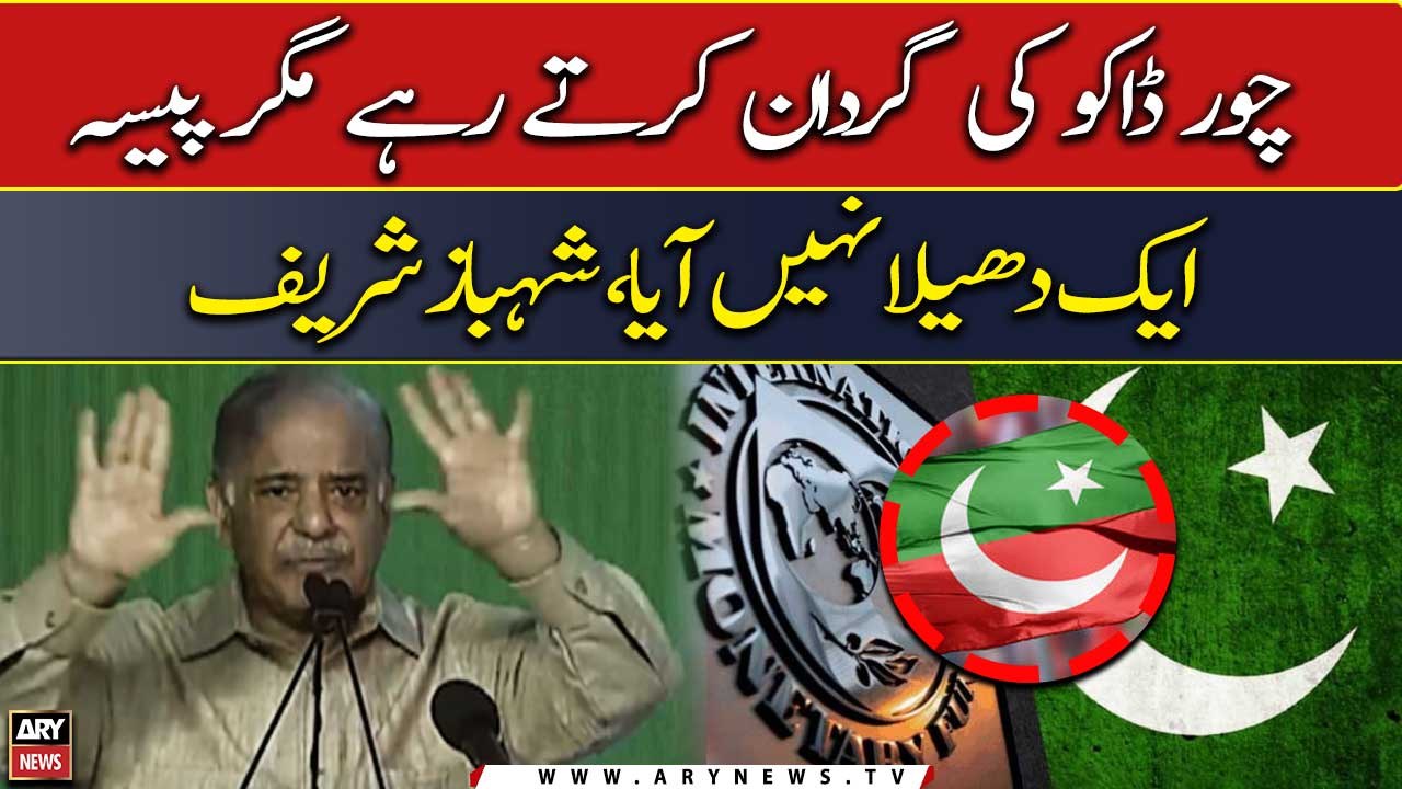 "Chor daku ki gardaan karte rahay magar paisa ek dhaila nahi aya," Shehbaz Sharif