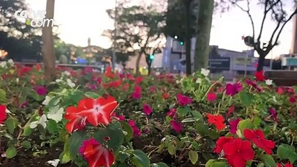 Sábado de sol com máxima de 23°C em Cascavel