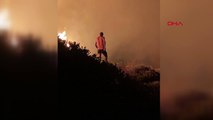 40 hectares de superficie ont été touchés par l'incendie de forêt à Çeşme