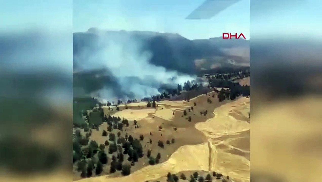 FEU DE FORÊT À ADANA