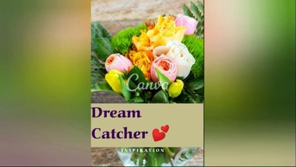 11.Hair care tips & routine