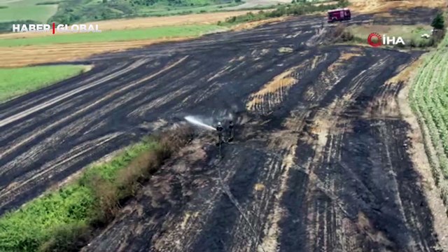 Arnavutköy’de 20 dönüm buğday tarlası küle döndü