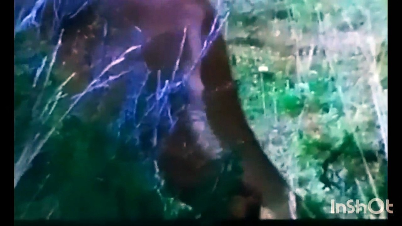 20230722_121344986.mp4_play_logo_US