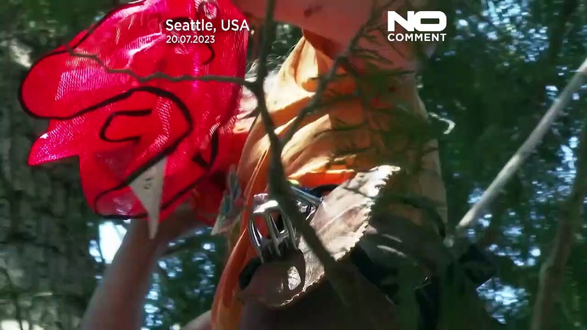 WATCH Seattle environmental activists climb tree in protest