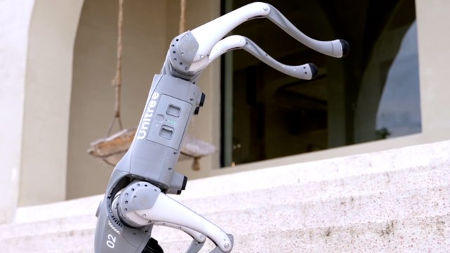 Robot köpek tartışma yarattı: Sadık bir dost mu, ürkütücü bir teknoloji mi?