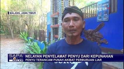 Cerita Sutrai, Dulu Pemburu Kini Jadi Pelestari Penyu: Saya Kasihan