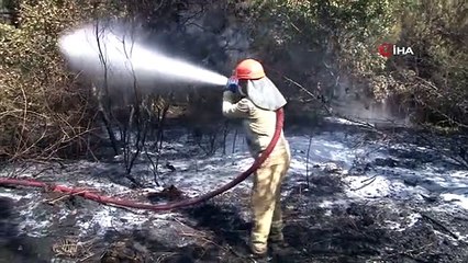 İstanbul Kemerburgaz'da Orman Yangını Kontrol Altına Alındı