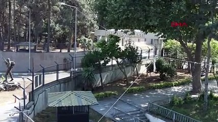 İstanbul'da iki farklı noktada orman yangını