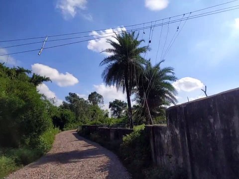 बांस बल्लियों के सहारे रोशन हो रहे शहरी क्षेत्र के कई इलाके