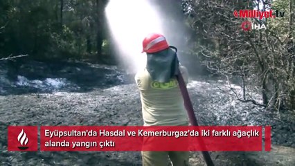 Eyüpsultan'da iki farklı noktada yangın! Valilikten açıklama