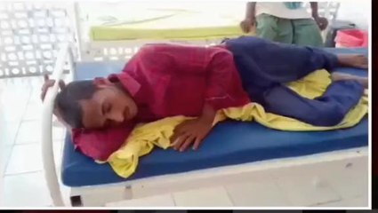 बांका: जहरीले सांप के काटने से युवक हुआ अचेत, परिजनों में मचा हड़कंप