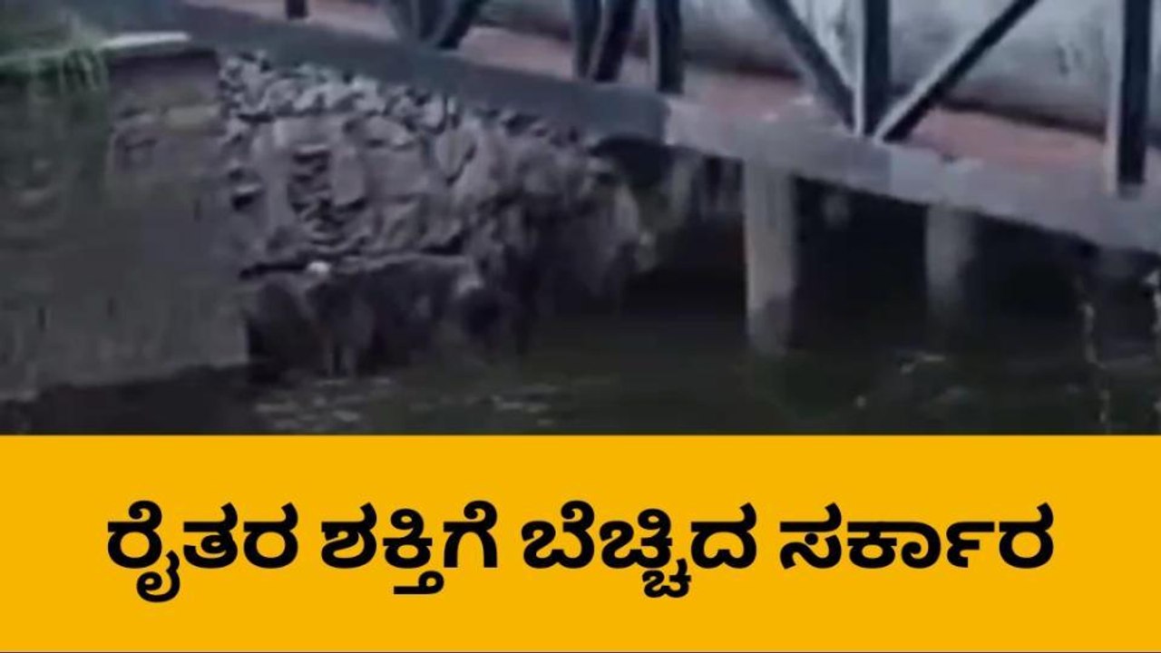 ರೈತರ ಒತ್ತಾಯಕ್ಕೆ ಮನ್ನಣೆ: ನಾಲೆಗೆ ಹರಿದ ನೀರು